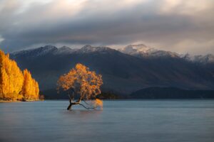 A lake wiht mountains in background and autumnal tree coming out of the water